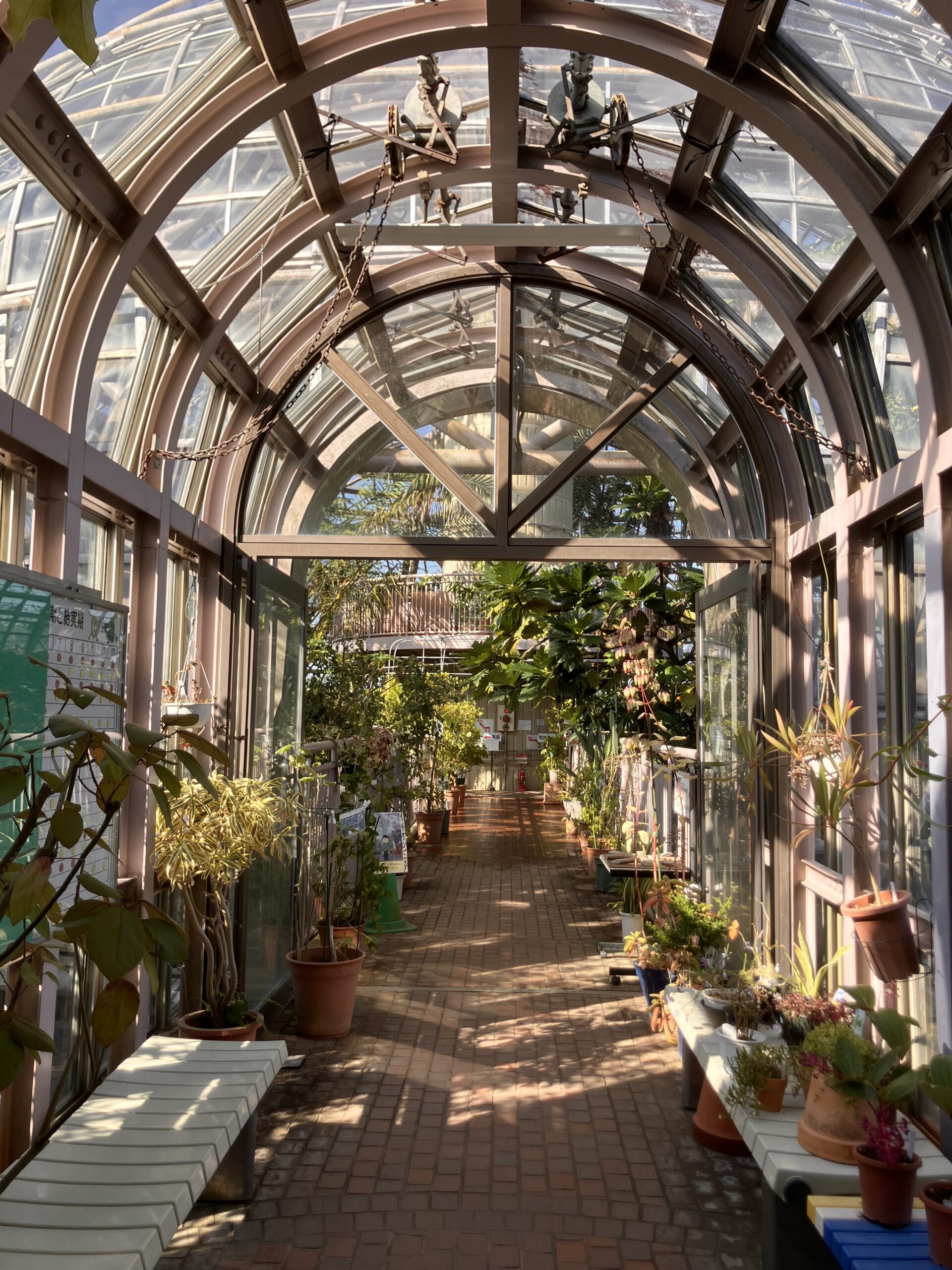 東谷山フルーツパークでプチ・デジタルデトックス！